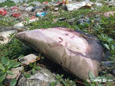 惠州一處閑置地污染物滋生蚊蟲(chóng)擾民,水口街道辦:將盡快處理